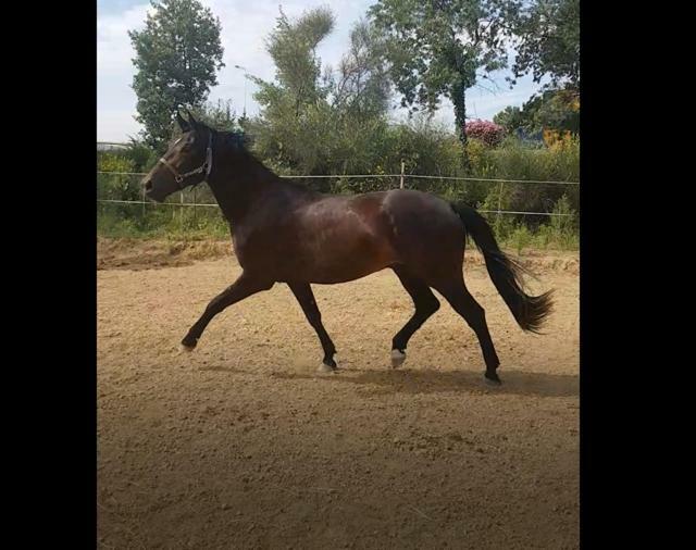 Haras Des Arcades Villa Perpignan Luaran gambar
