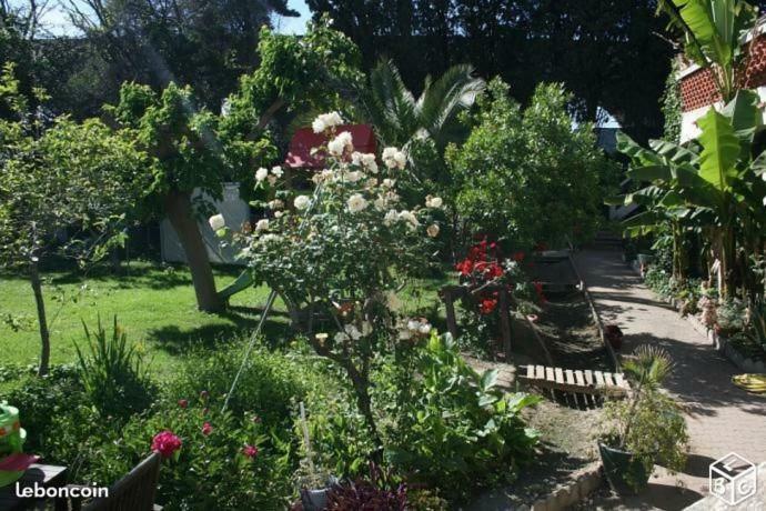 Haras Des Arcades Villa Perpignan Luaran gambar